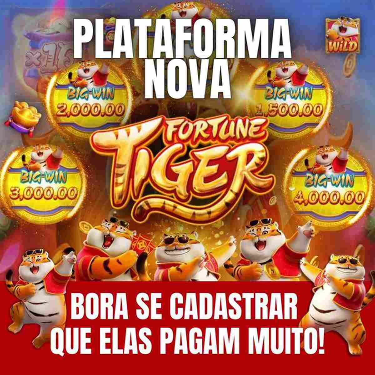 plataforma bgg bet